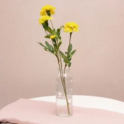 Glass Tall Milk Bottle Clear (5.5x16cmH)