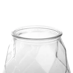 Glass Twist Lotus Vase Clear (12.5DX21.5cmH)