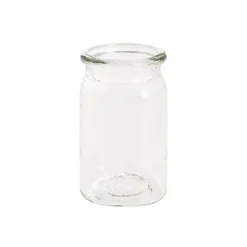 Glass Valley Jar Large Clear (9.5x16.5cmH)