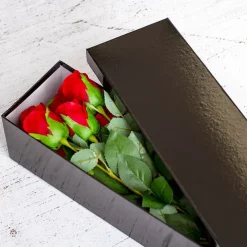 Glossy Half Dozen Rose Box Black (75x14x11cmH)