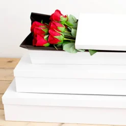 Glossy Rose Box Dozen White (75x21x11cmH) Set 3