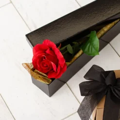 Glossy Rose Box Single Black (71x8x7cmH)