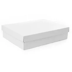 Gourmet Box Rectangle Large White (40x30x9cmH)