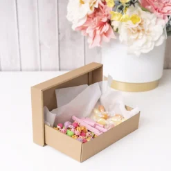 Gourmet Box Rectangle Mini Brown Kraft (25x15x5.5cmH)