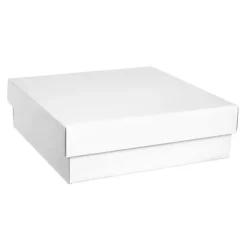 Gourmet Box Square Large White (28x28x9cmH)