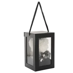 Graduation Amore Rose Bear w Black Bow&Hat Ombre Black(25cmH