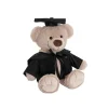 Graduation Teddy Bear Alfred Plush Toy Soft Brown (25cmST)