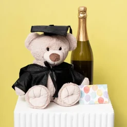 Graduation Teddy Bear Alfred Plush Toy Soft Brown (25cmST)