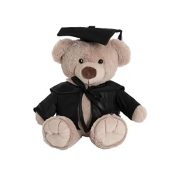 Graduation Teddy Bear Alfred Plush Toy Soft Brown (25cmST)