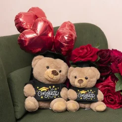 Graduation Teddy Bear Arnold w Congrats Top Brown (25cmST)