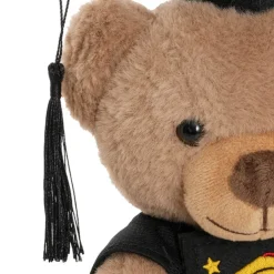 Graduation Teddy Bear Arnold w Congrats Top Brown (20cmST)