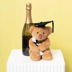 Graduation Teddy Bear Harvey Plush Soft Toy Brown (20cmST)