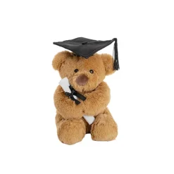 Graduation Teddy Bear Harvey Plush Soft Toy Brown (20cmST)