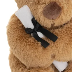 Graduation Teddy Bear Harvey Plush Soft Toy Brown (20cmST)