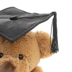 Graduation Teddy Bear Harvey Plush Soft Toy Brown (20cmST)