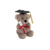 Graduation Teddy Bear Harvey Plush Toy Warm Grey (15cmST)