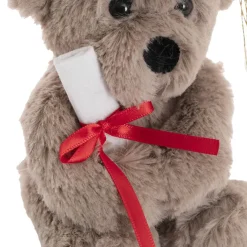 Graduation Teddy Bear Harvey Plush Toy Warm Grey (15cmST)