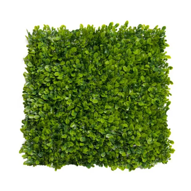 Greenery Wall UV Treated Artificial Boxwood Green (50x50cm)