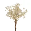 Gypsophila Baby's Breath Bunch x 3 Champagne (62cmH)