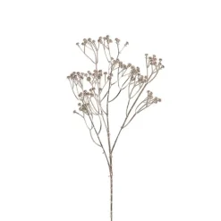 Gypsophila Baby's Breath Spray Champagne (62cmH)