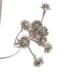 Gypsophila Baby's Breath Spray Champagne (62cmH)