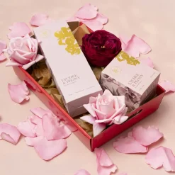 Hamper Tray Flat Pack Medium Red Pack 2 (34x22x7cmH)