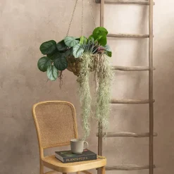 Hanging Metal Planter Pot Brushed Gold (34.5x94cmH)