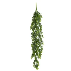 Hanging Plants Eucalyptus Bush Green (80cmH)