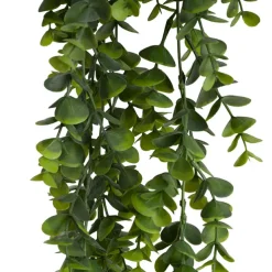 Hanging Plants Eucalyptus Bush Green (80cmH)