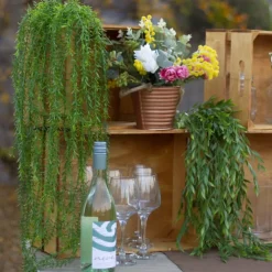 Hanging Plants Grass Bush Green (70cmH)