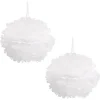 Hanging Tissue Pom Pom Pack 2 White (50cmD)