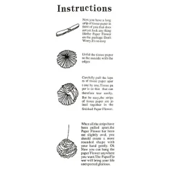 Hanging Tissue Pom Pom Pack 2 White (50cmD)