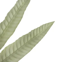 Hart's Tongue Fern Leaf Spray Ombre Green (80cmH)