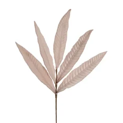 Hart's Tongue Fern Leaf Spray Powder Pink (80cmH)