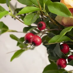 Hawthorn Berry Leaf Spray Dark Red (85cmH)