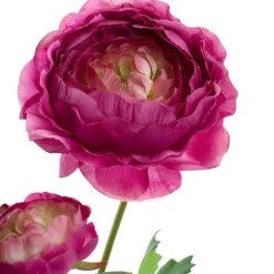 Helena Ranunculus Spray Fuchsia (61cmH)
