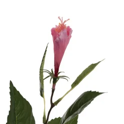 Hibiscus Flower x 2 Head Spray Pink (11cmDx61cmH)