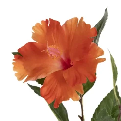 Hibiscus Flower x 2 Head Spray Peachy Orange (11cmDx61cmH)
