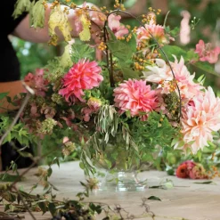 Holly Chapple Abby Compote 5" (21Dx12.5cmH) Clear