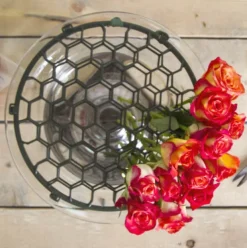 Holly Chapple Pillow Guard 4" (10Dx5cmH) Dark Green