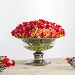 Holly Chapple Pillow Guard 8