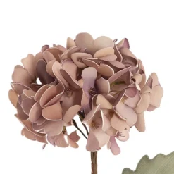 Hydrangea Kate Large Stem Mauve (70cmH)