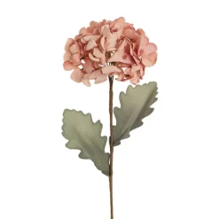 Hydrangea Kate Large Stem Coral Pink (70cmH)