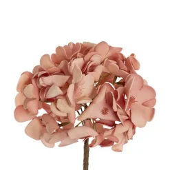Hydrangea Kate Large Stem Coral Pink (70cmH)