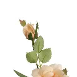 Iceland Rose Spray x 7 Head Peach (72cmH)