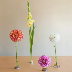 Ikebana Stayput Kenzan Flower Holder No.2 Round Med 5cmD)