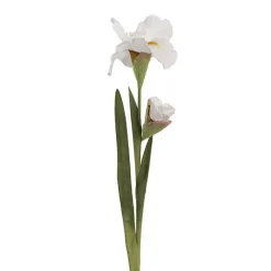Iris Real Touch Stem White (78cmH)