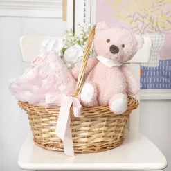 Jamie Teddy Bear Gift Pack Bear and Blanket Pink (23cmST)