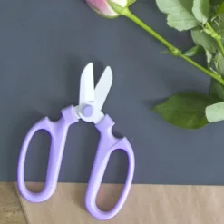 Japanese Style Flower Snips Gift Box Lavender (170mm )