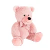 Jelly Bean Teddy Bear Dusty Pink (20cmST)